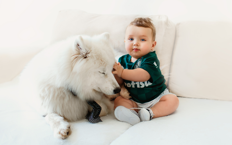 Babies who grow up around dogs may have a lower risk of developing childhood asthma