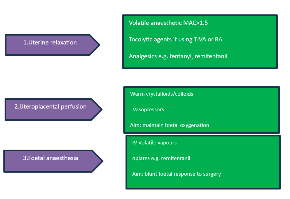 EXIT Procedure: A summary of the practicalities and challenges of managing exit-anaesthesia